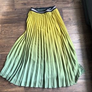 Long pleated ombré skirt